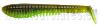 PONTOON 21 AWARUNA EVO 7.0 inch (Coloris 4217 - Green Pumpkin Chartreuse)