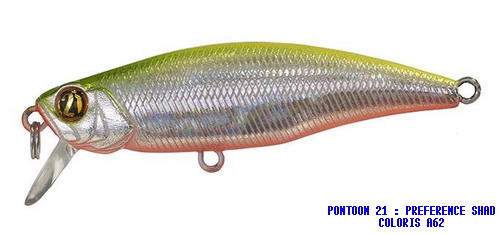 PREFERENCE SHAD 55F SR COLORI A-62