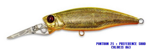 PREFERENCE SHAD 55F DR COLORIS A-63