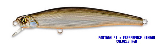 PONTOON 21 PREFERENCE MINNOW 90F SR COLORIS A-60