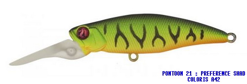 PREFERENCE SHAD 55F DR COLORIS A-42