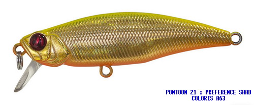 PREFERENCE SHAD 55F SR COLORI A-63