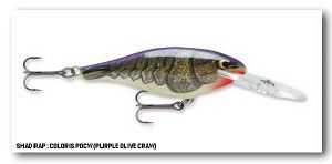 RAPALA SHAD RAP SR-09 POCW PURPLE OLIVE CRAW