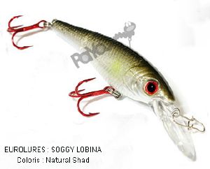 PAYO SOGGY LOBINA NATURAL SHAD